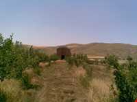 بقعه شیخ بایزید بسطامی