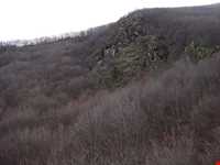 آبگرم قلعه‌کندی