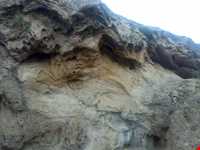 چای‌باغی و آب معدنی شورسو