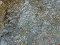 چای‌باغی و آب معدنی شورسو