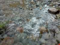 چای‌باغی و آب معدنی شورسو