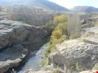 چای‌باغی و آب معدنی شورسو