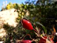 Eyshabad village and waterfall