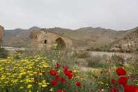 پل دختر میانه