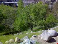 روستای تاریخی صور