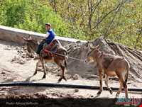 روستای تاریخی صور