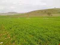 روستای تاریخی صور