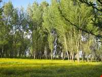 آبشار اسب فروشان