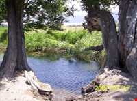 آبشار اسب فروشان