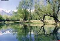 آبشار اسب فروشان