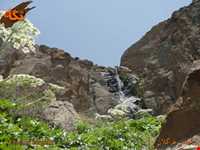 آبشار هرگلان