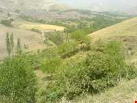 منطقه نمونه گردشگری قلعه چای عجب شیر