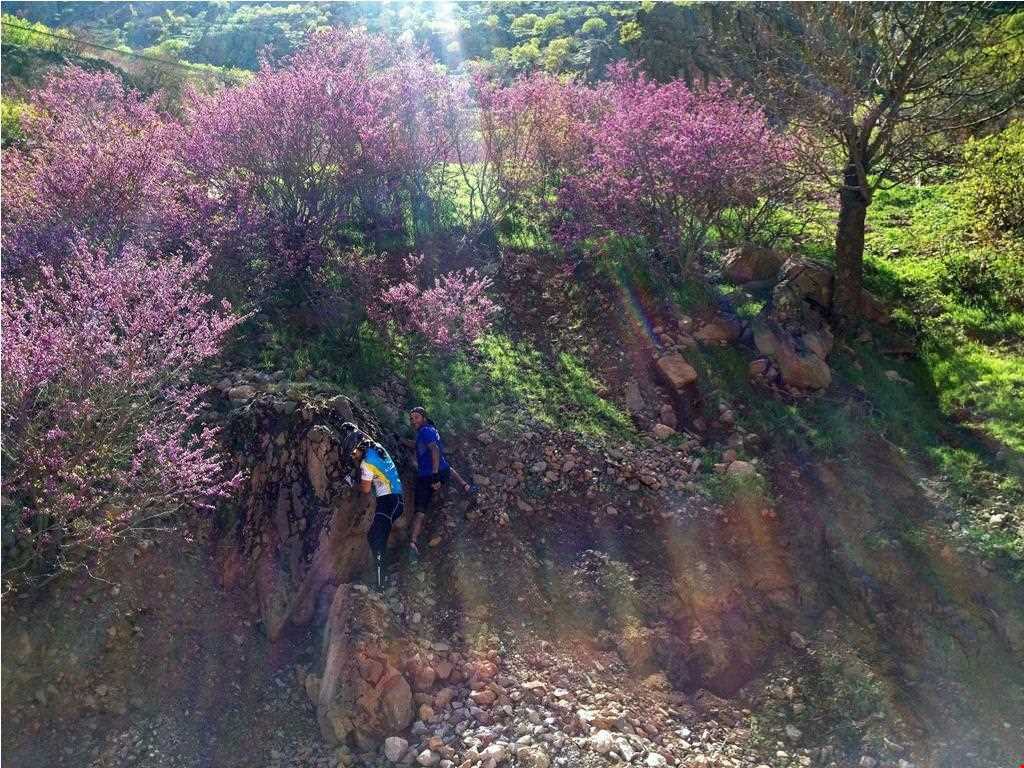 روستای هجیج