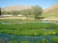 روستای سرآقاسید