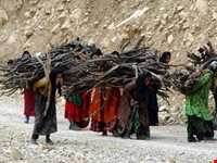 روستای سرآقاسید