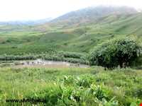 روستای بیمضرته