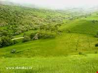 منطقه حفاظت شده میرآباد