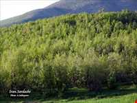 منطقه حفاظت شده میرآباد