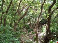 Valley of Sultan Yaghoub