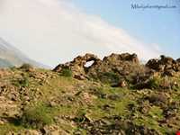 Valley of Sultan Yaghoub