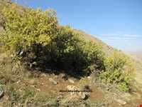 Valley of Sultan Yaghoub