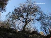 Valley of Sultan Yaghoub