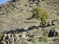 Valley of Sultan Yaghoub