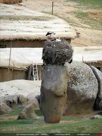 روستای خورینج