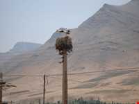 روستای خورینج