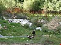 Gol Akhvor Waterfall