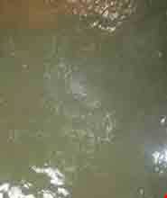 آبگرم معدنی روستای زاویه سفلی