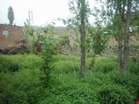 ایستی سو (آب گرم ایسی‌سو )