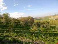 سنگ نبشته‌های و غار روستای جوشاطو