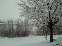 زرینه رود ( جغتو چای) ‏