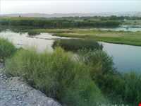 زرینه رود ( جغتو چای) ‏