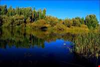 زرینه رود ( جغتو چای) ‏