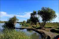 زرینه رود ( جغتو چای) ‏