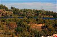 زرینه رود ( جغتو چای) ‏