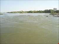 زرینه رود ( جغتو چای) ‏