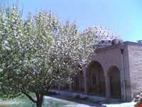 Bokan mosque 