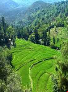 روستای حیرت