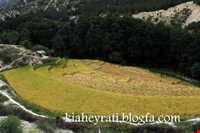 روستای حیرت