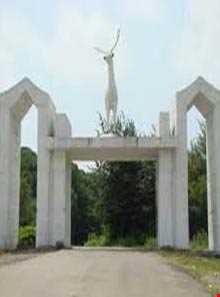 پارک جنگلی تلار و دریاچه جاده نظامی