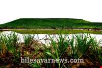 بازارچه مرزی بیله سوار