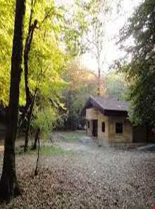 پارک جنگلی بابلکنار