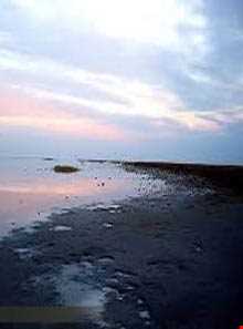 ساحل چپکرود