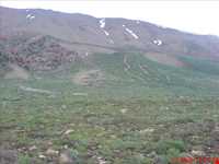 Agh Dagh protected Area