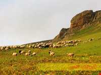 روستای گیلوان