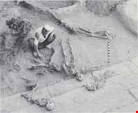 Tappeh Hasanloo ( Hasanloo hill )