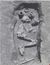 Tappeh Hasanloo ( Hasanloo hill )